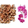 orchideenchips orchidee 2