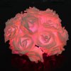 Elifine 20 LED Rose Festival Net String Light Fairy Lights Christmas Xmas Party Wedding Decoration Light 13