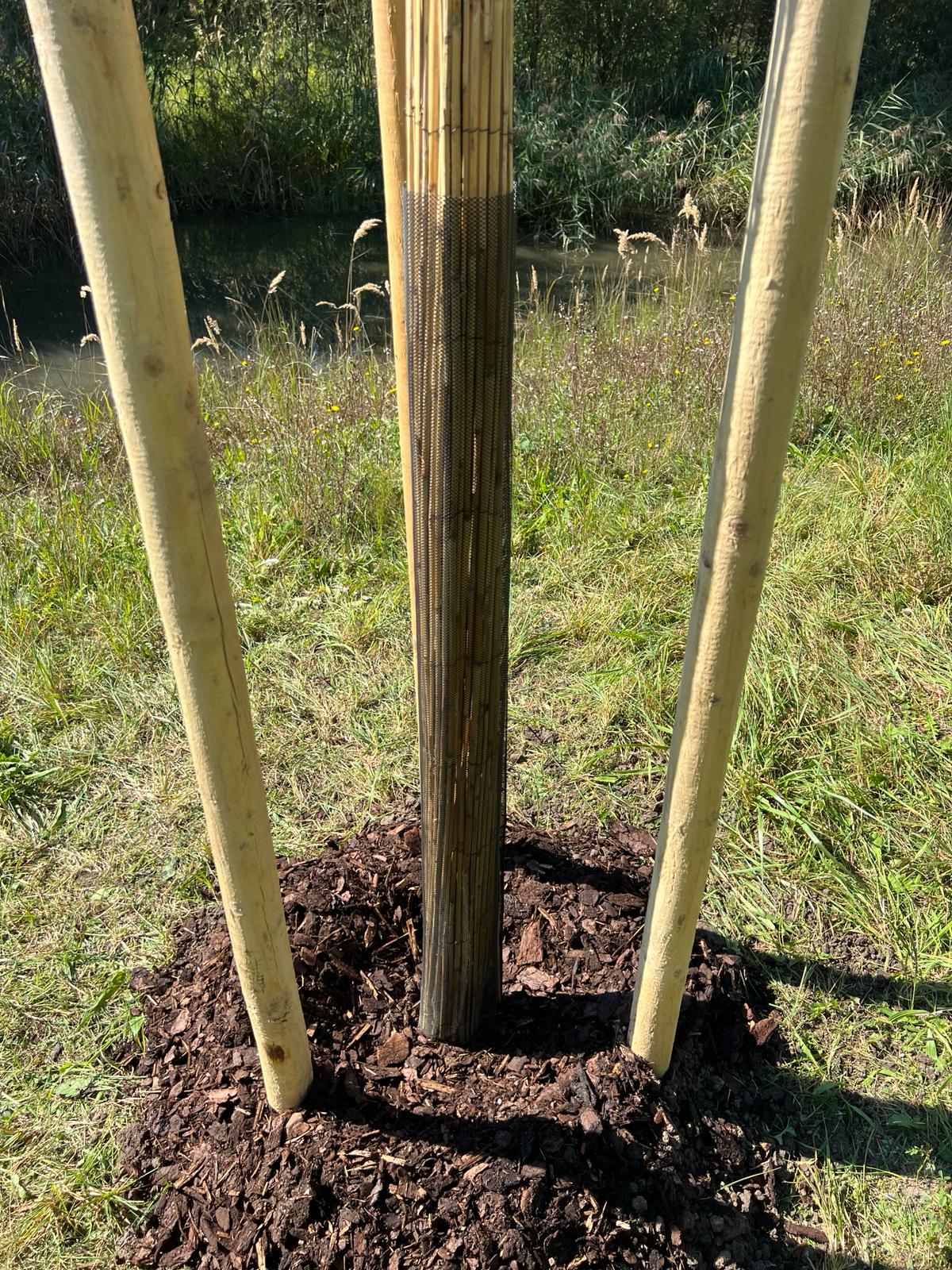 Ochrana kmene stromu: Různé metody a jejich výhody