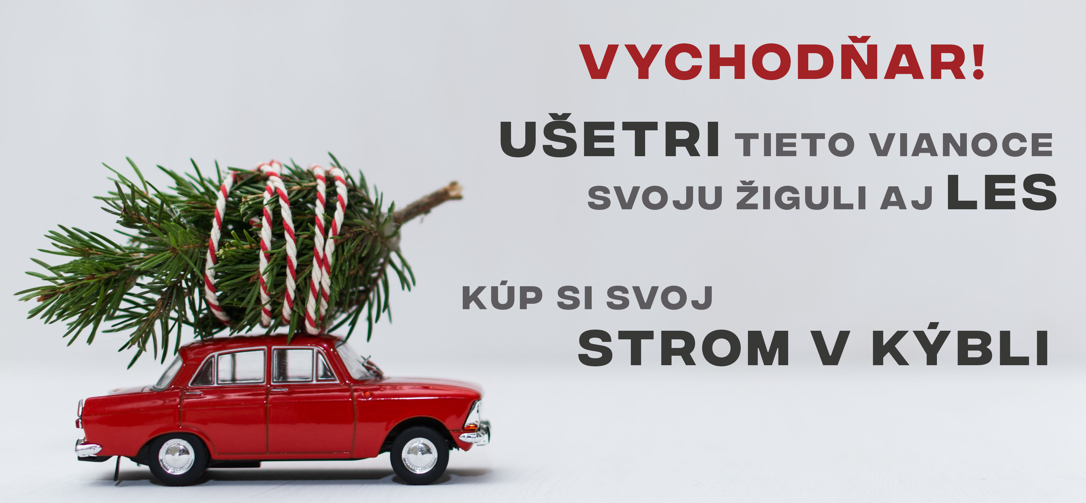 Vianocny_strom_v_kybli_a_ziguli