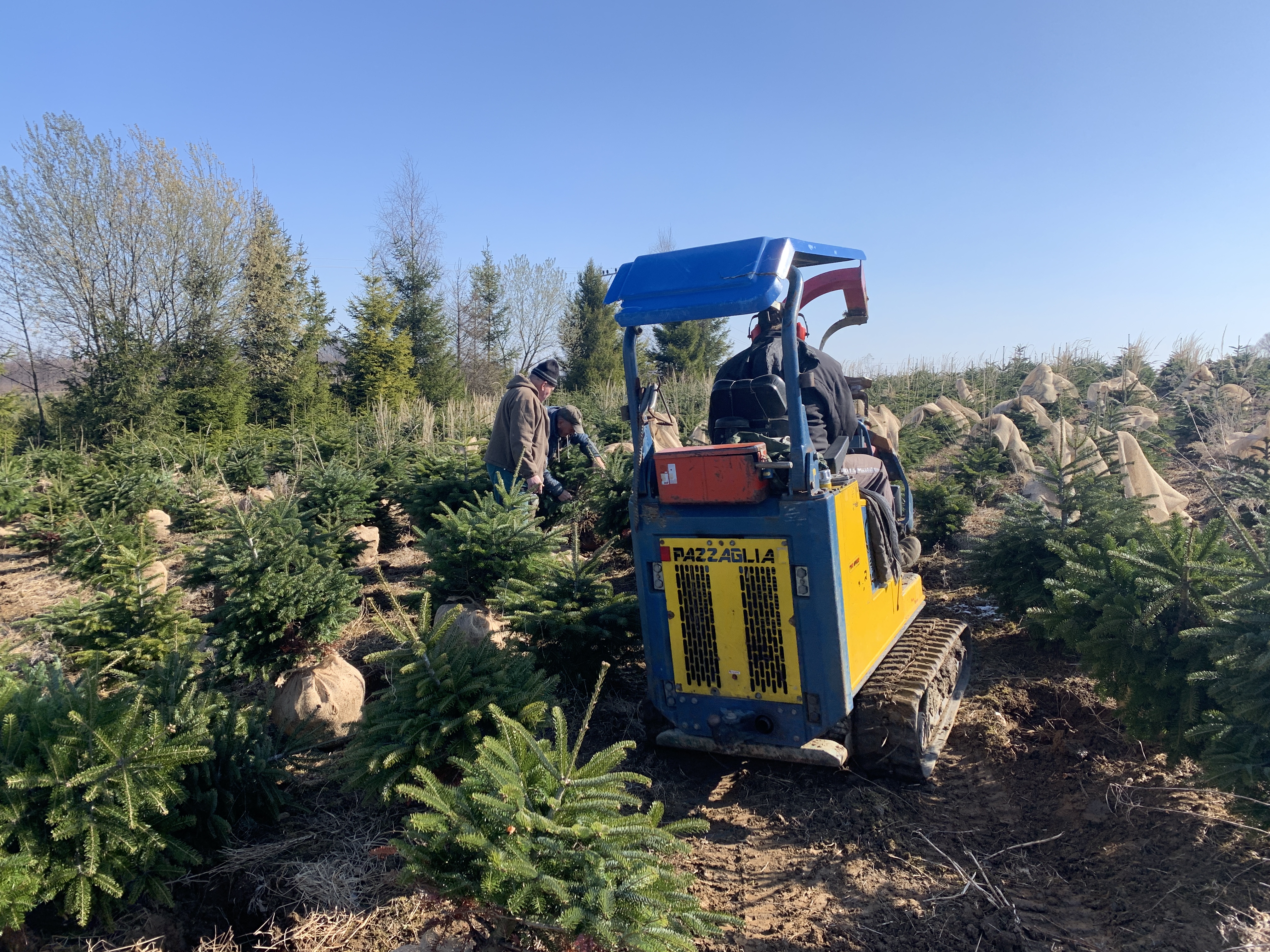 Podzimní sezóna je v plném proudu