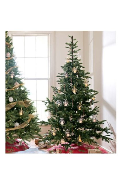 b874e243 53a7 49fc 9e72 99156085c368 1.013608c68c2b82c67e43e56fdf9a6717