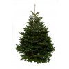 12ft nordmann fir christmas tree 1024x1024