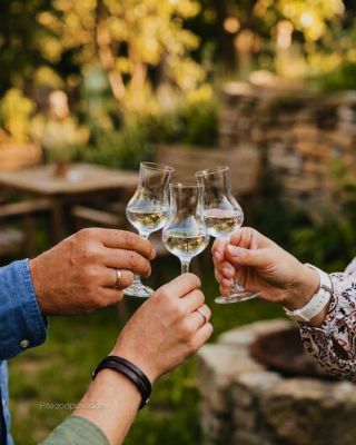 Zabudnite na klasiku. Marhuľovica s kávou posunie váš prípitok na novú úroveň. 🥂