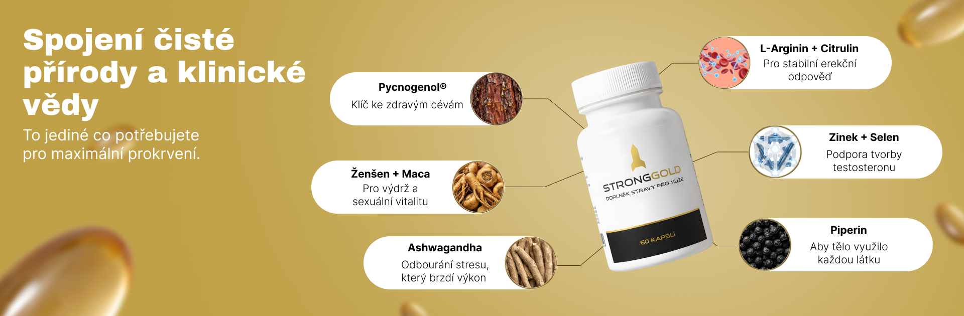 Spojení čisté přírody a klinické vědy