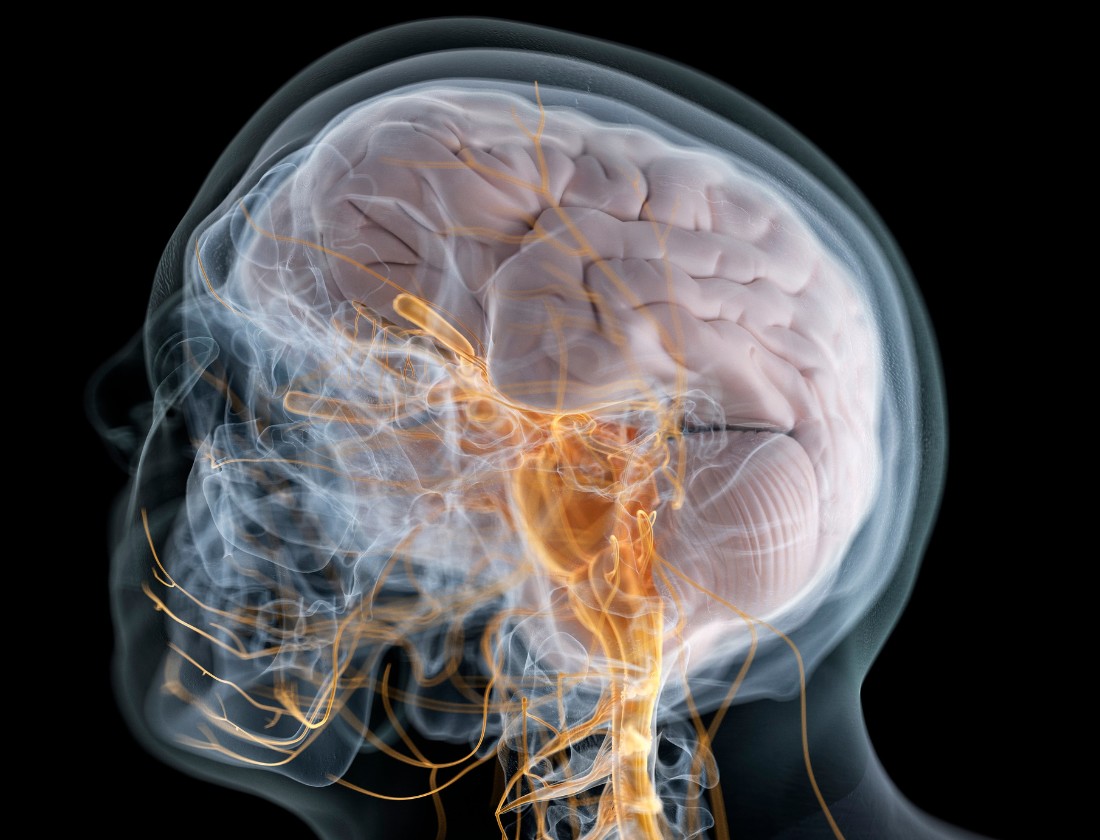 Nervový a hormonální systém