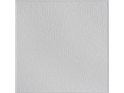 Stropní kazeta Orlík