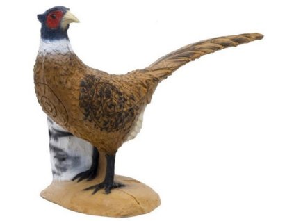 12790 1 terc 3d srt bazant