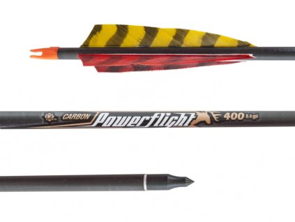 2632 1 sip carbon 30 easton power flight 400 nat