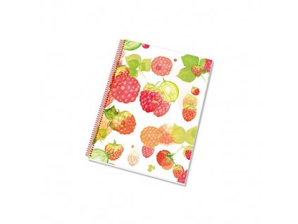 blok A5 COLLEGE linajkový 50 listov