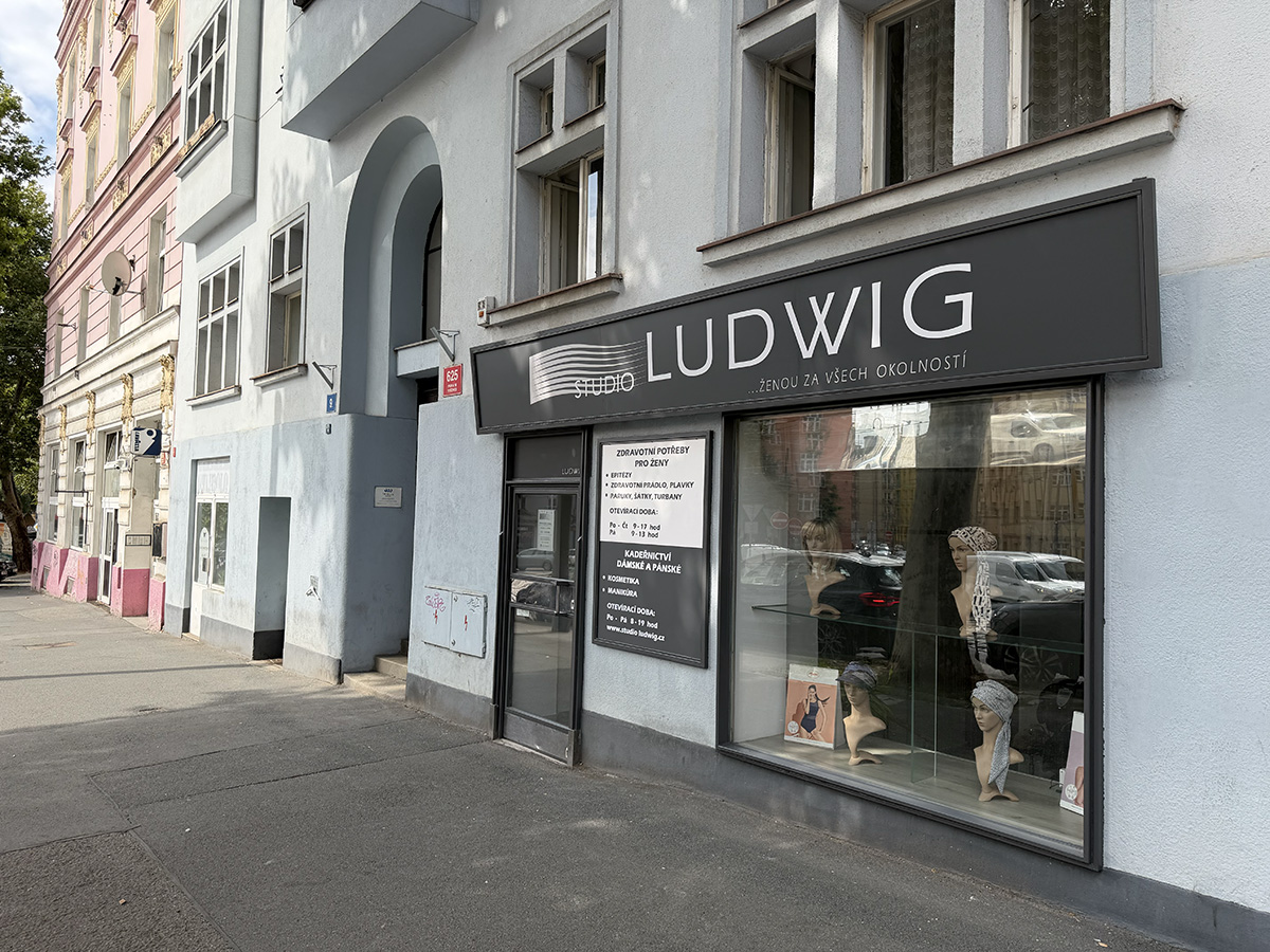 Studio Ludwig - vstup