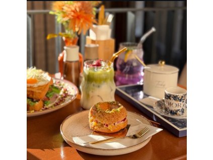 Setkání & autogramiáda v TRIBÉS OLOMOUC