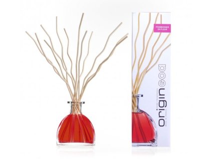 FRAMBOISIER EN FLEUR