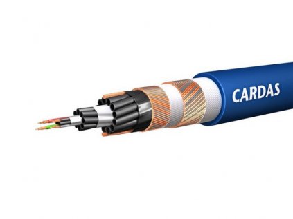Cardas clear beyond interconect 4