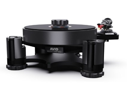 Avid acutus 3