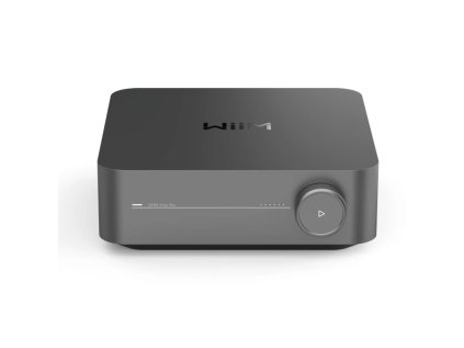 11613 wiim amp pro 1
