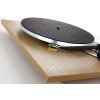 rega planar 3 svetly dub exact mm image1 big ies100476080