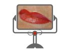 Prmanentní Make Up rtů (4)