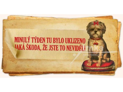 Bylo tu uklizeno pes dřevěná destička