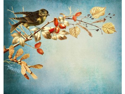 Prostírání podzimní nálada s šípky