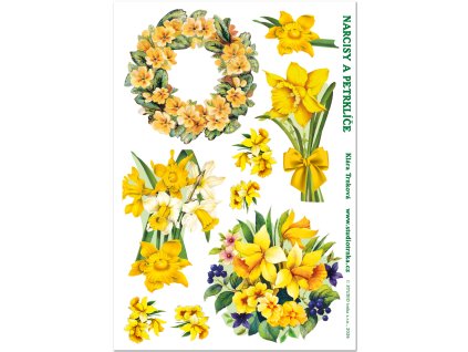 Samolepky květiny Narcis petrklíč