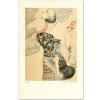 Litografie Klára Trnková Tři kočky