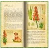 Kniha cizokrajné bylinky aloe vera