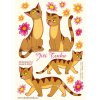 Dekorační samolepky kočky okrové