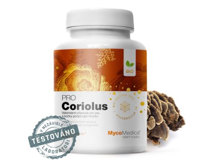 coriolus detail s razitkem kopie.3478291057