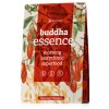 Buddha Essence WebRes