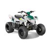 polaris polaris outlaw 110 terrang