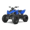 LINHAI ATV 110 2X4 EFI CE