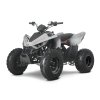 LINHAI ATV 110 2X4 EFI CE