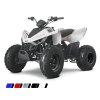LINHAI ATV 110 2X4 EFI CE