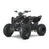 LINHAI ATV 110 2X4 EFI CE
