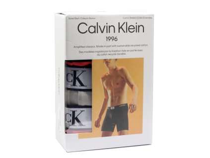 Pánské boxerky  Calvin Klein Brief 000NB3529A UBI