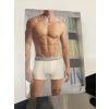 Pánské boxerky  Calvin Klein 000NB24530 4S 3PK TRUNK Steel