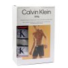 Pánské boxerky  Calvin Klein Brief 000NB3529A UBI