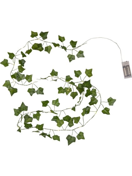 Dekoratívna svetelná LED reťaz dĺžka 200 cm Star Trading Ivy - zelený