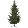 Umelý vianočný stromček výška 210 cm Star Trading Uppsala - zelený