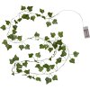 Dekoratívna svetelná LED reťaz dĺžka 200 cm Star Trading Ivy - zelený