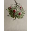 Sada 4 vianočných ozdôb priemer 7 cm Blomus JUHLA - červená #5
