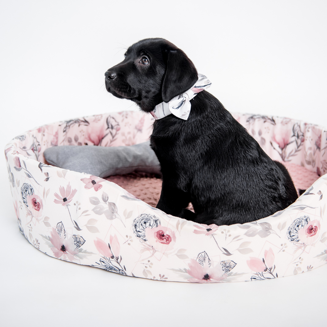 Jak jsme začali šít psí doplňky