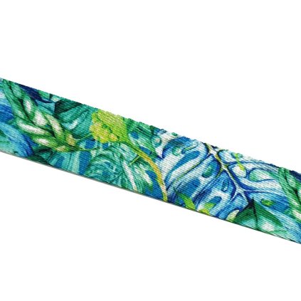 akvarel tropico