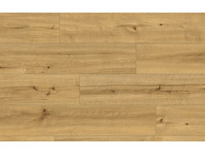 Classen Ceramin 62541 Pro Nature Soacha