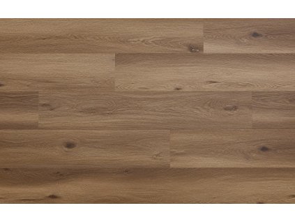 CW 211 Vinyl%20flooring%20Arbiton%20WOODRIC%20EIR%20 %20DALLAS%20OAK 5905167847770 D 01 nahlad