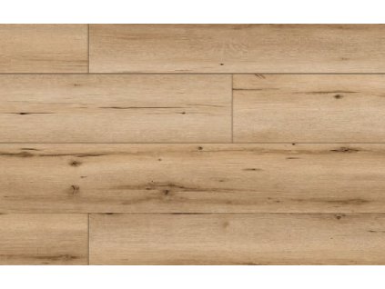 49776 Arteo Classen Dub Denali WR