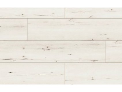 49777 Arteo Classen Dub Famara WR