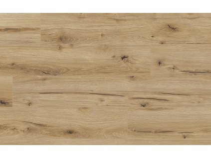 Classen Arteo 8M Dub Gibson 62751