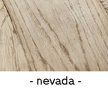 ad_nevada